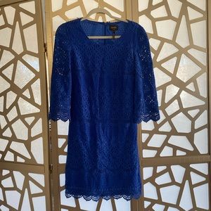 Laundry by Shelli - Royal Blue Dress 💙